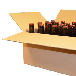 Boite carton 24 bouteilles APO/Longneck/Vichy