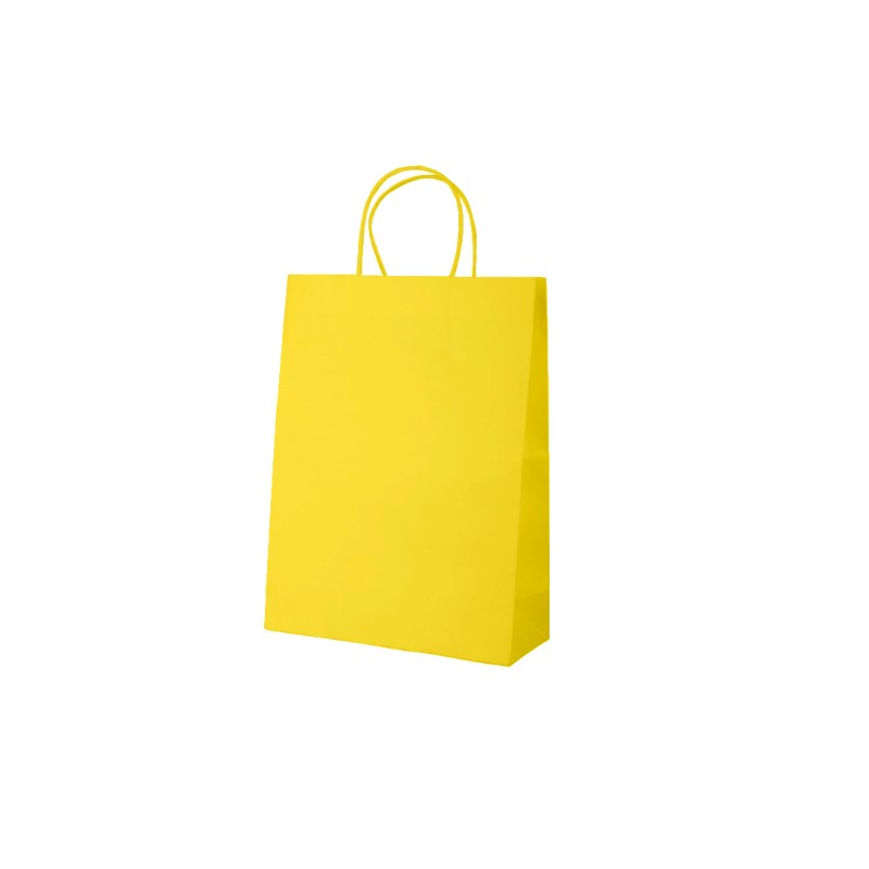 Sac kraft coloré poignées torsadées