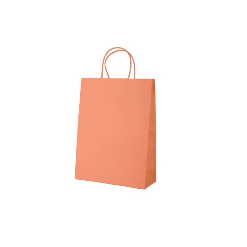 Sac kraft coloré poignées torsadées