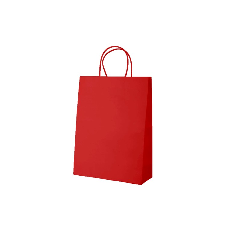 Sac kraft coloré poignées torsadées