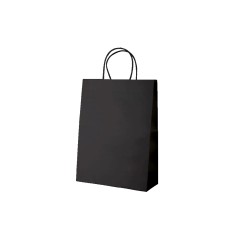 Sac kraft coloré poignées torsadées
