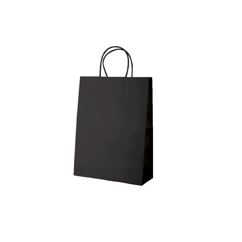 Sac kraft coloré poignées torsadées