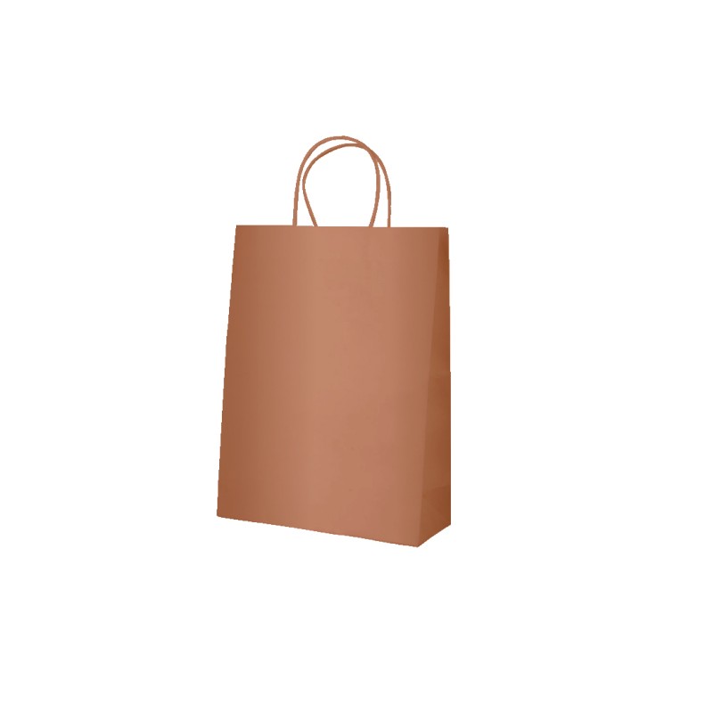 Sac kraft coloré poignées torsadées