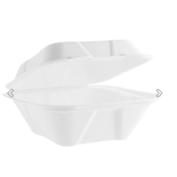 Coquille bagasse de 7x7in