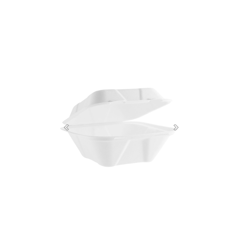 Coquille bagasse de 7x7in