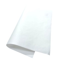 Papier ingraissable monolux