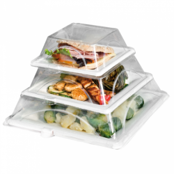 Couvercle PET transparent pour plateau bagasse 262x262x19 mm | MJ Pack