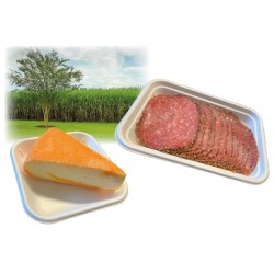 Barquette bagasse blanche